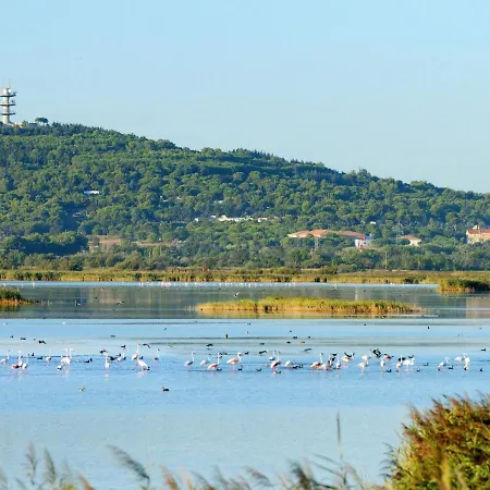 Le Sunset-cap Sud-20 By Interhome Appartement Agde